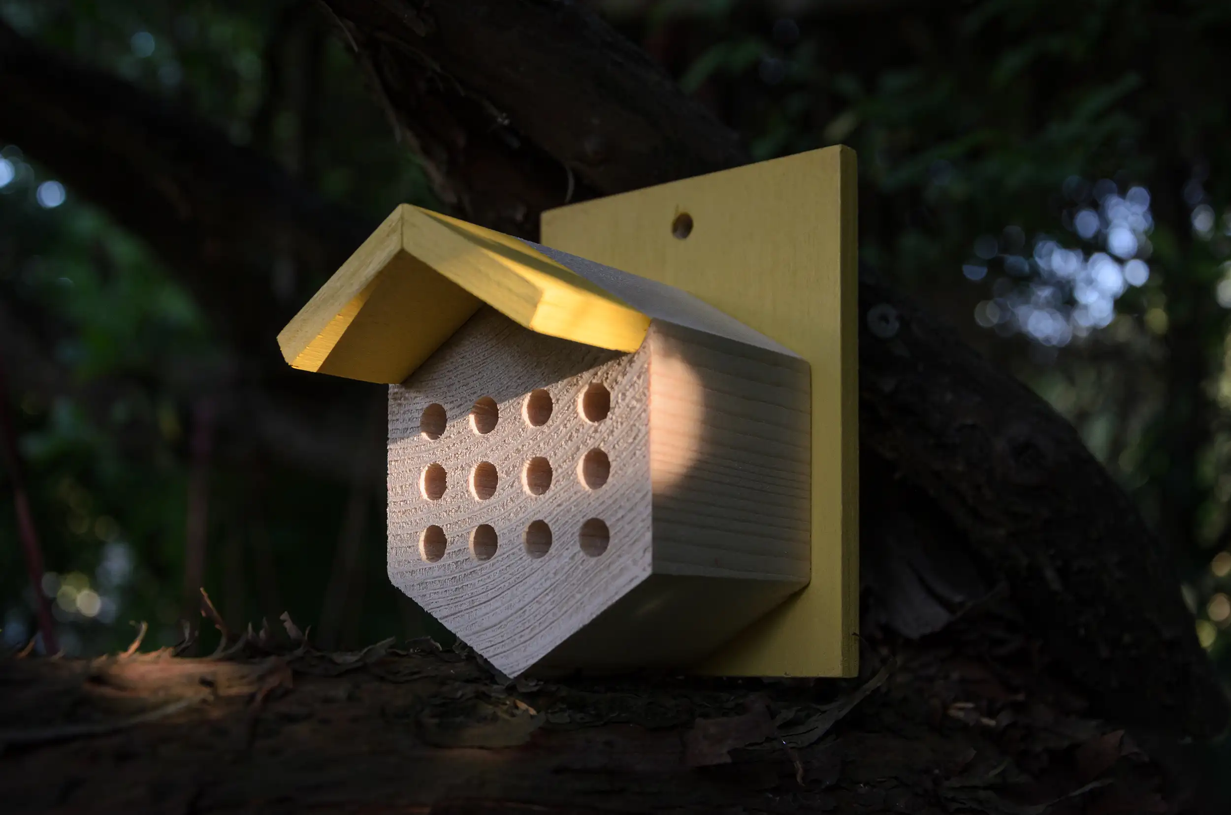 casetta api solitarie