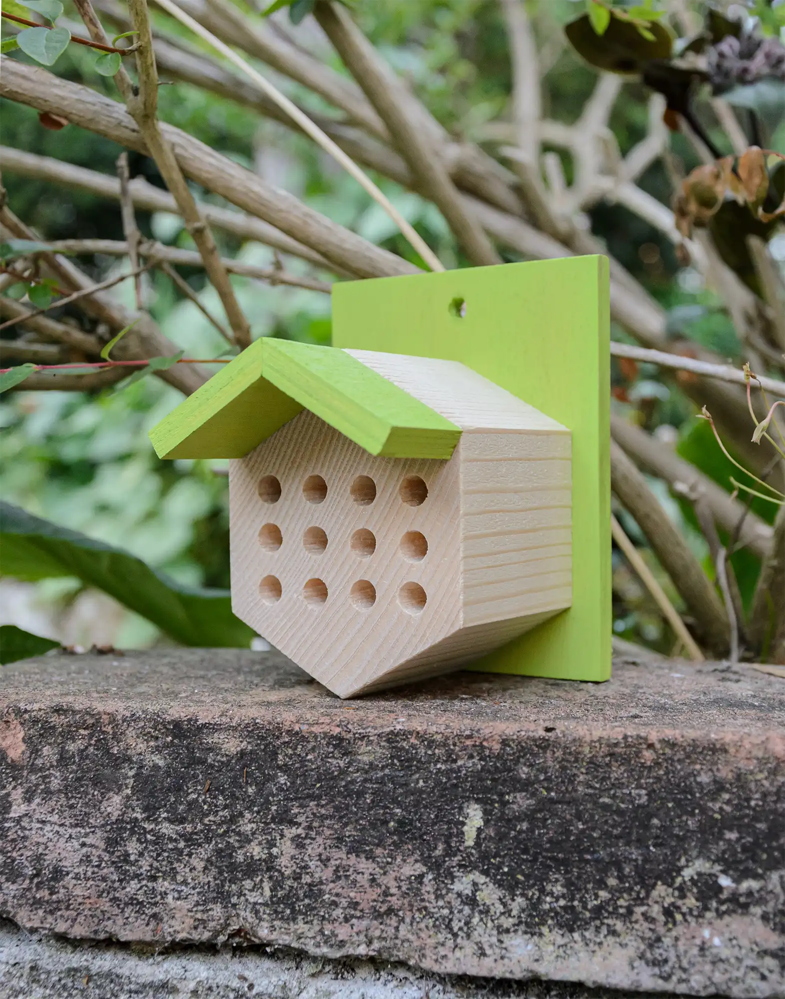 casetta api solitarie